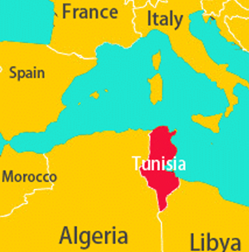 Tunisian Extra Virgin Olive Oil